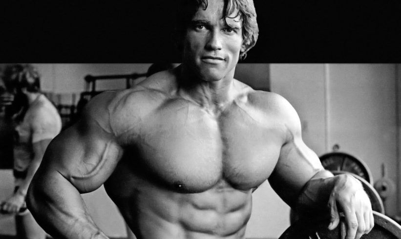 Arnold Schwarzenegger Image