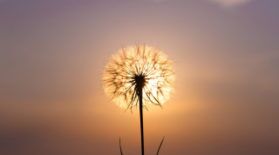 Your-Own-Role-Model-Sienna-Petree-Image